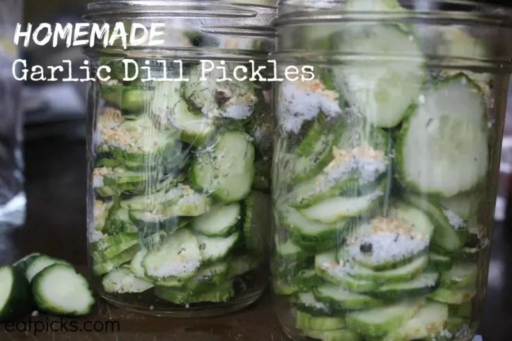 homemade garlic dill pickles eatpicks