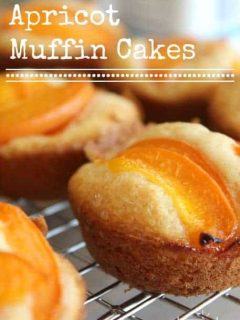apricot muffin cakes