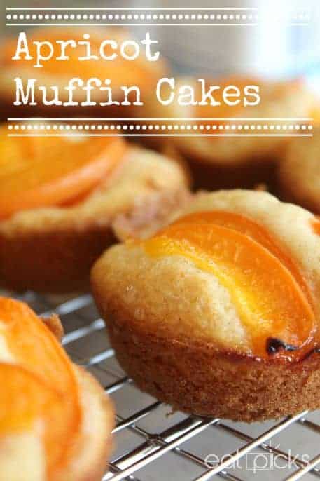 apricot muffin cakes 