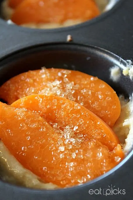 apricot muffin tin