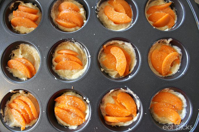 apricot muffin tin cakes for oven