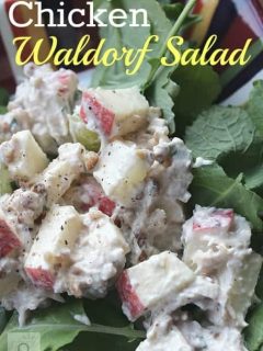 chicken Waldorf Salad is the perfect combination of sweet and savory and makes a delicious light lunch over a bunch of fresh baby kale.