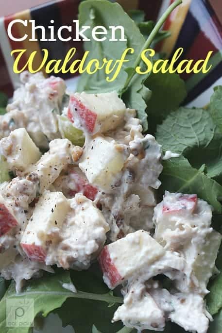 chicken Waldorf Salad is the perfect combination of sweet and savory and makes a delicious light lunch over a bunch of fresh baby kale. 