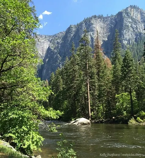 Yosemite is a hiker's paradise. The scenery is beautiful like this river below the granite rocks. 