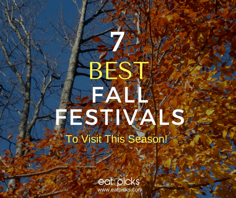 7 Best Fall Festivals to Visit in Capital District Eat Picks
