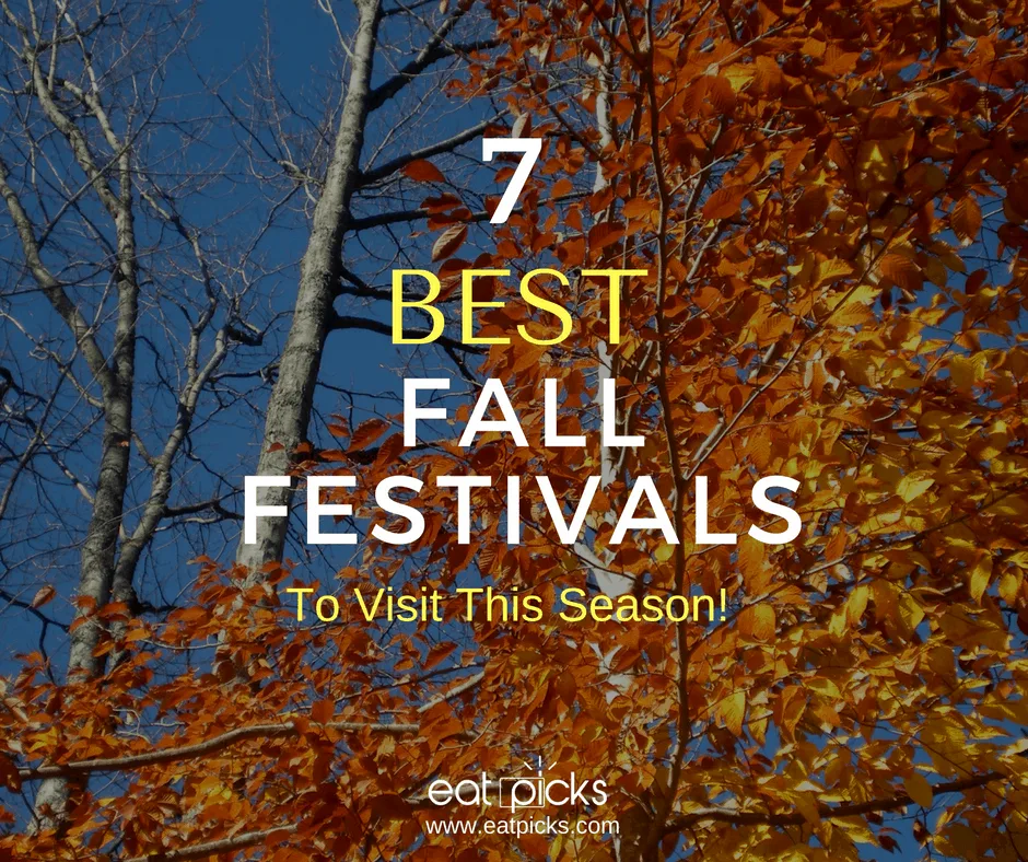 7 Best Fall Festivals to Visit this Season in the Capital District