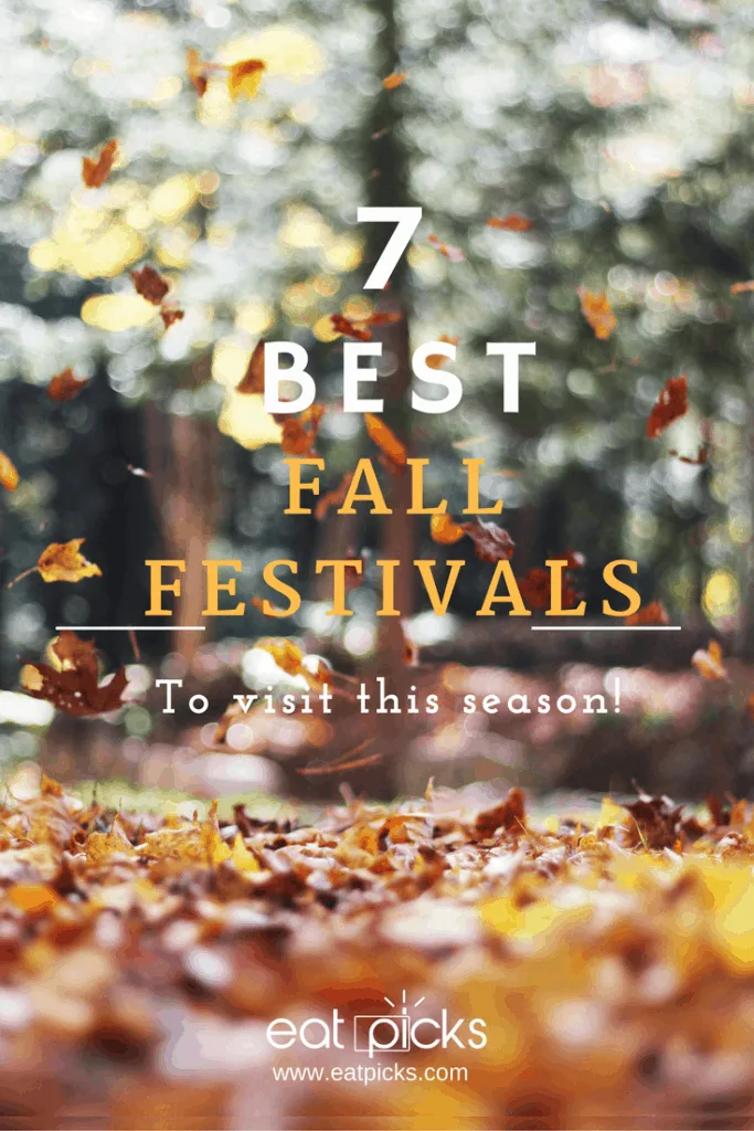 7 Best Fall Festivals to Visit this Season in Albany & Saratoga NY Area! 