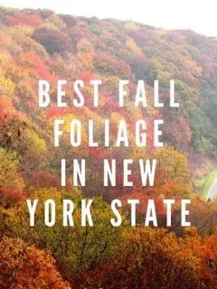 best fall foliage in new york state