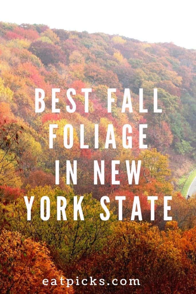 fall foliage in new york state
