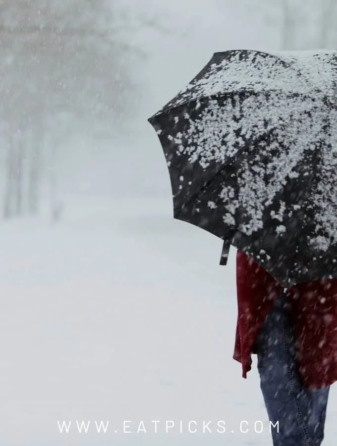 Prepare for winter storm person walking in snow with umbrella