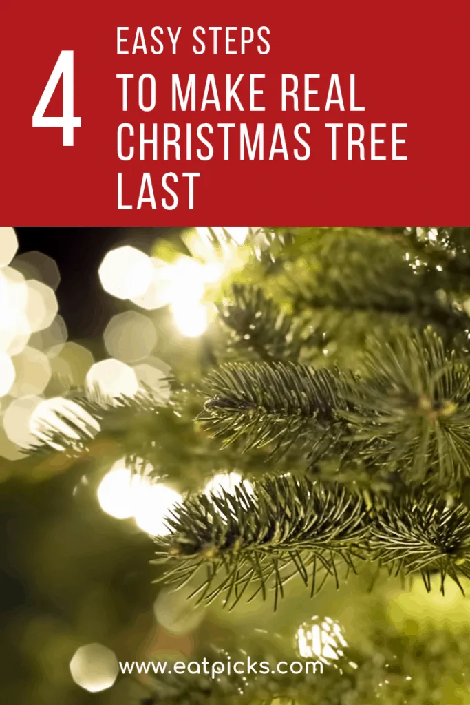 4 steps to make your real christmas tree last longer. Enjoy your real tree all season long! #Christmastree #holiday #christmas 