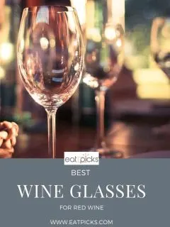 Best Wine Glasses for Red Wine