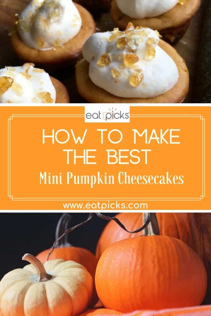 Pin Image with pumpkins on bottom and pumpkin cheesecakes on top
