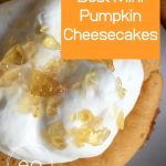 Mini Pumpkin Cheesecakes with whipped cream topping and brown sugar