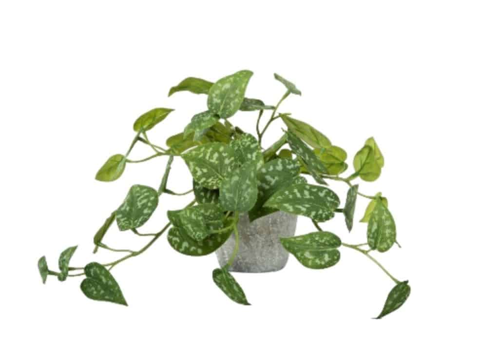 faux potted plant