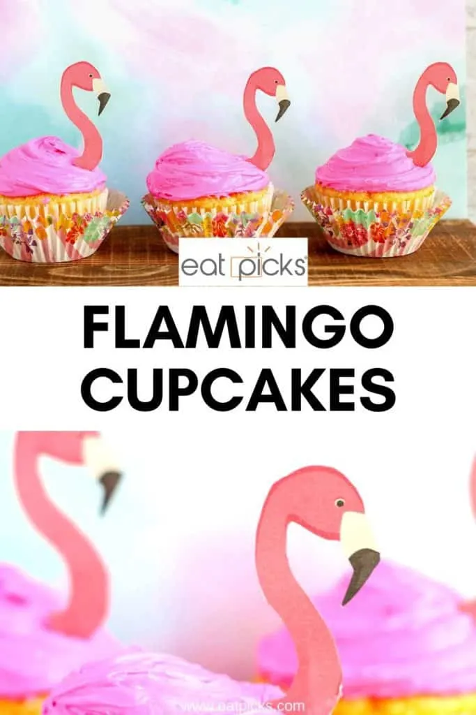 Flamingo Cupcakes Pin