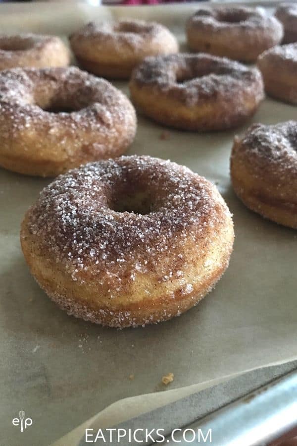 Baked pumpkin spice donuts with cinnamon sugar topping