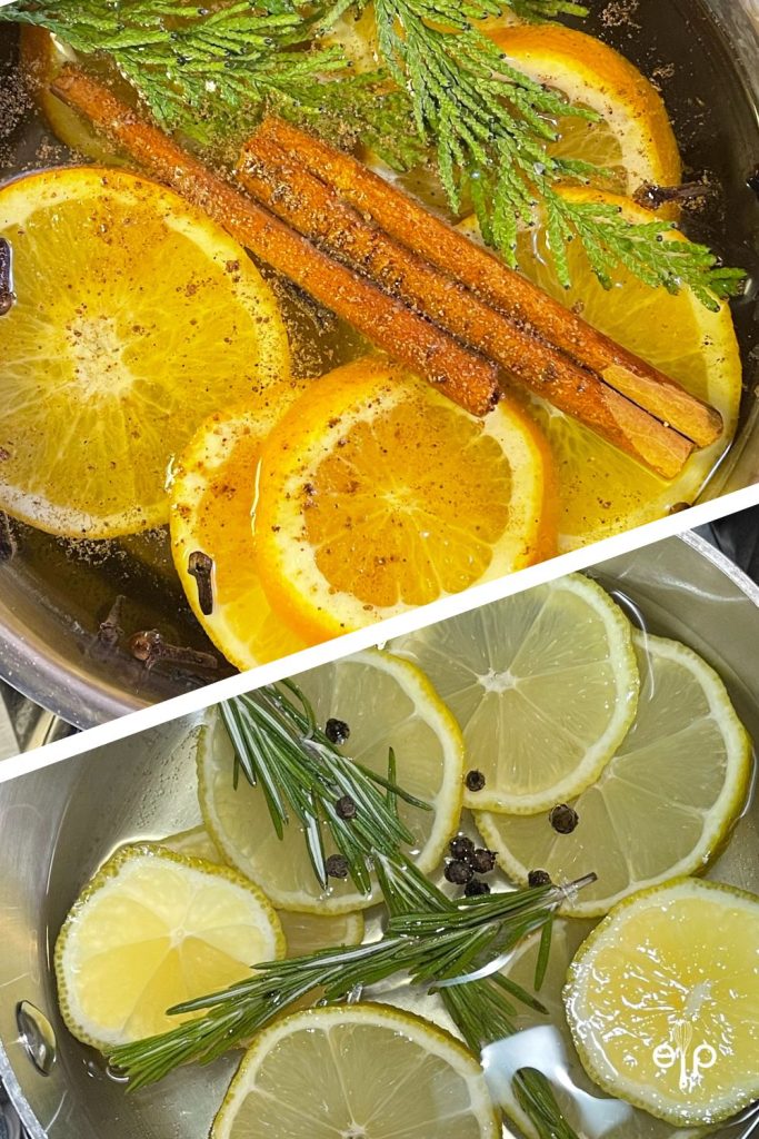 Holiday Simmer Pot Ingredients